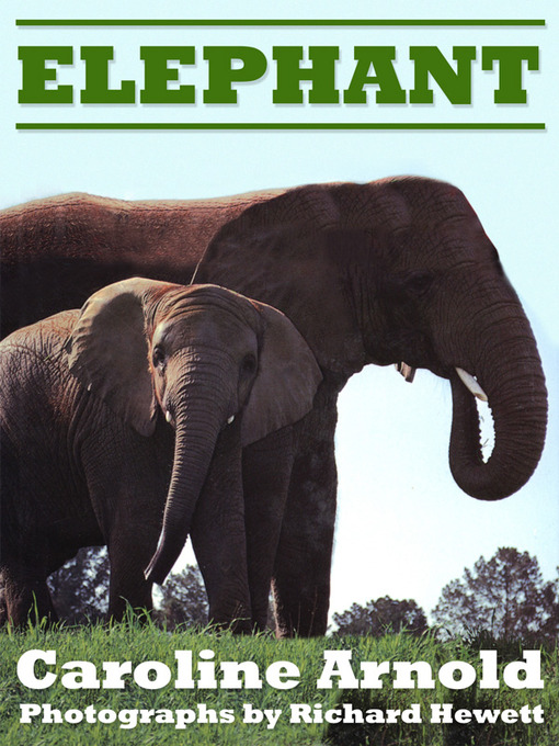 Title details for Elephant by Caroline Arnold - Available